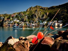 St. John's, the Battery